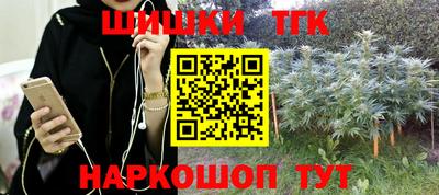 стаф Новокубанск