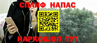 стаф Новокубанск