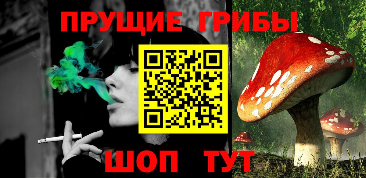 Галлюциногенные грибы Psilocybe  Вход с VPN  Пугачёв 
