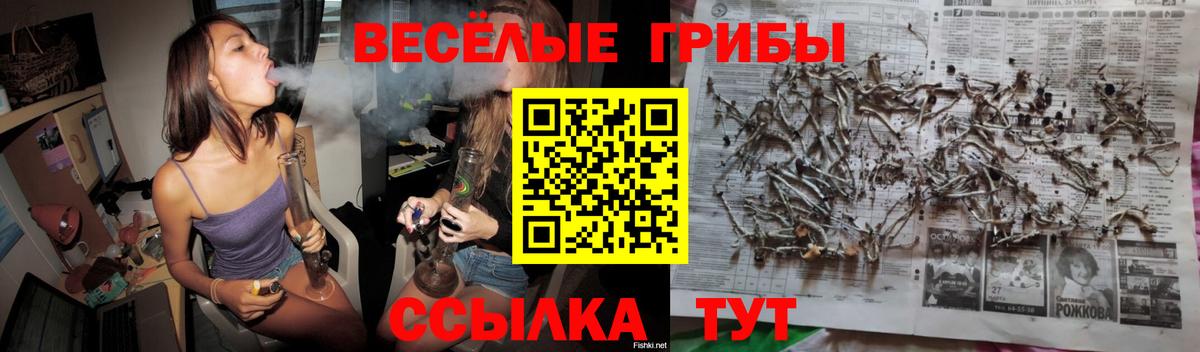Галлюциногенные грибы Magic Shrooms Пугачёв
