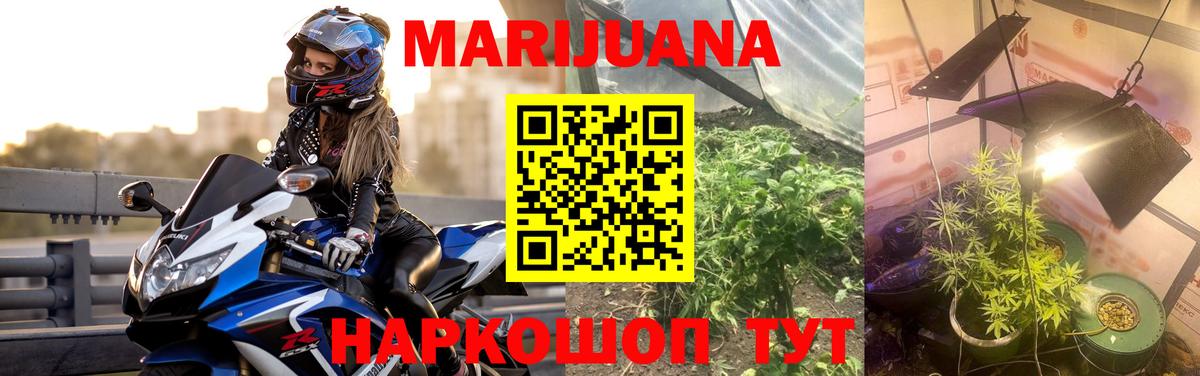 Пугачёв  Марихуана сатива  Конопля THC 21%  Вход с VPN  МАРИХУАНА MAZAR 
